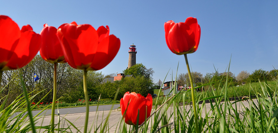 Frühling Auf Rügen Erleben Sie Rügen Wenn Die Natur Erwacht